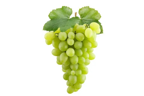 Grapes