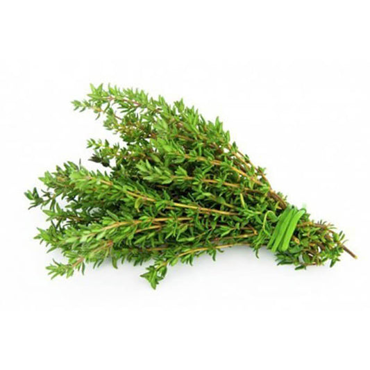 Thyme